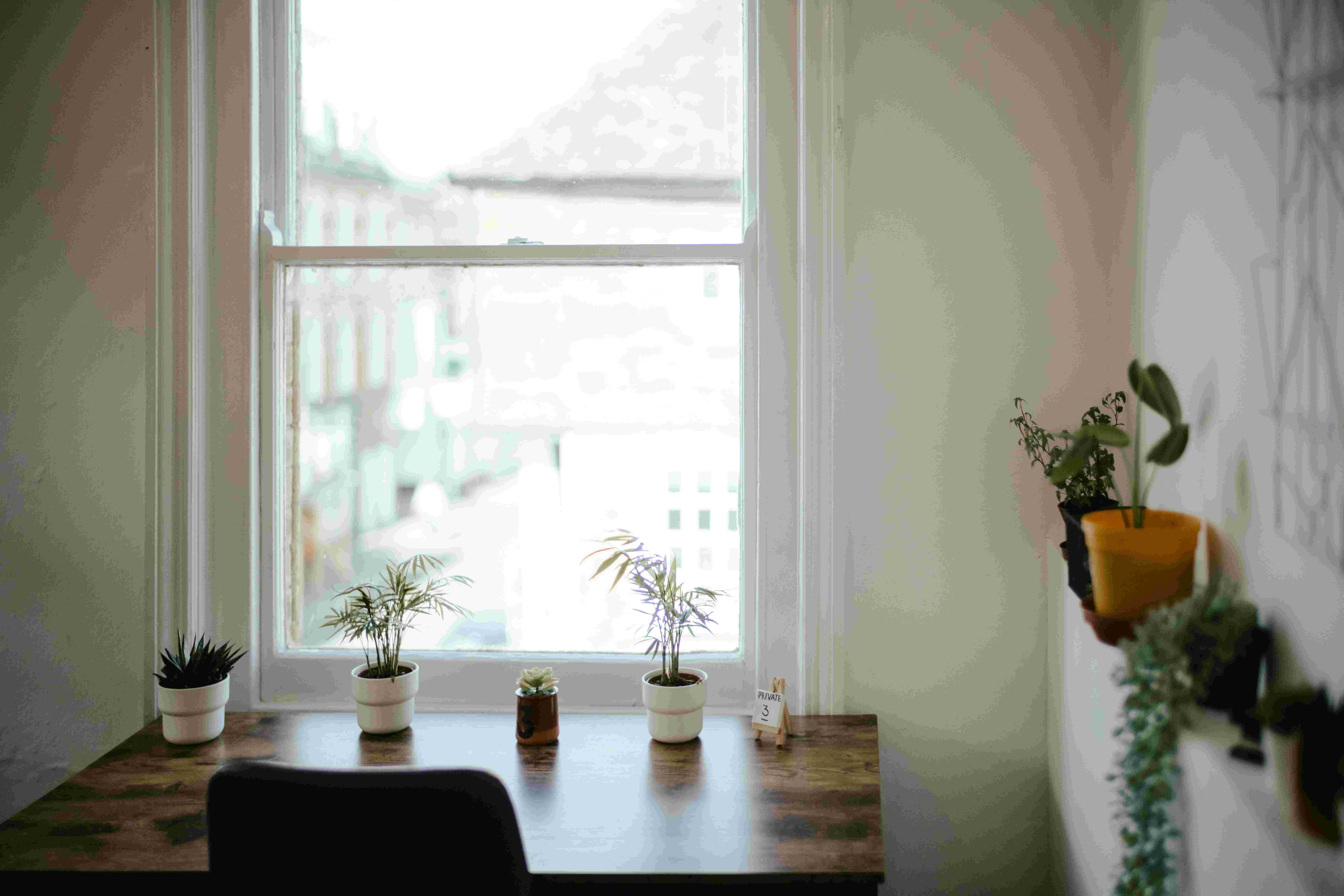 A quiet desk near a window in soft evening light, the room ready for a conversation