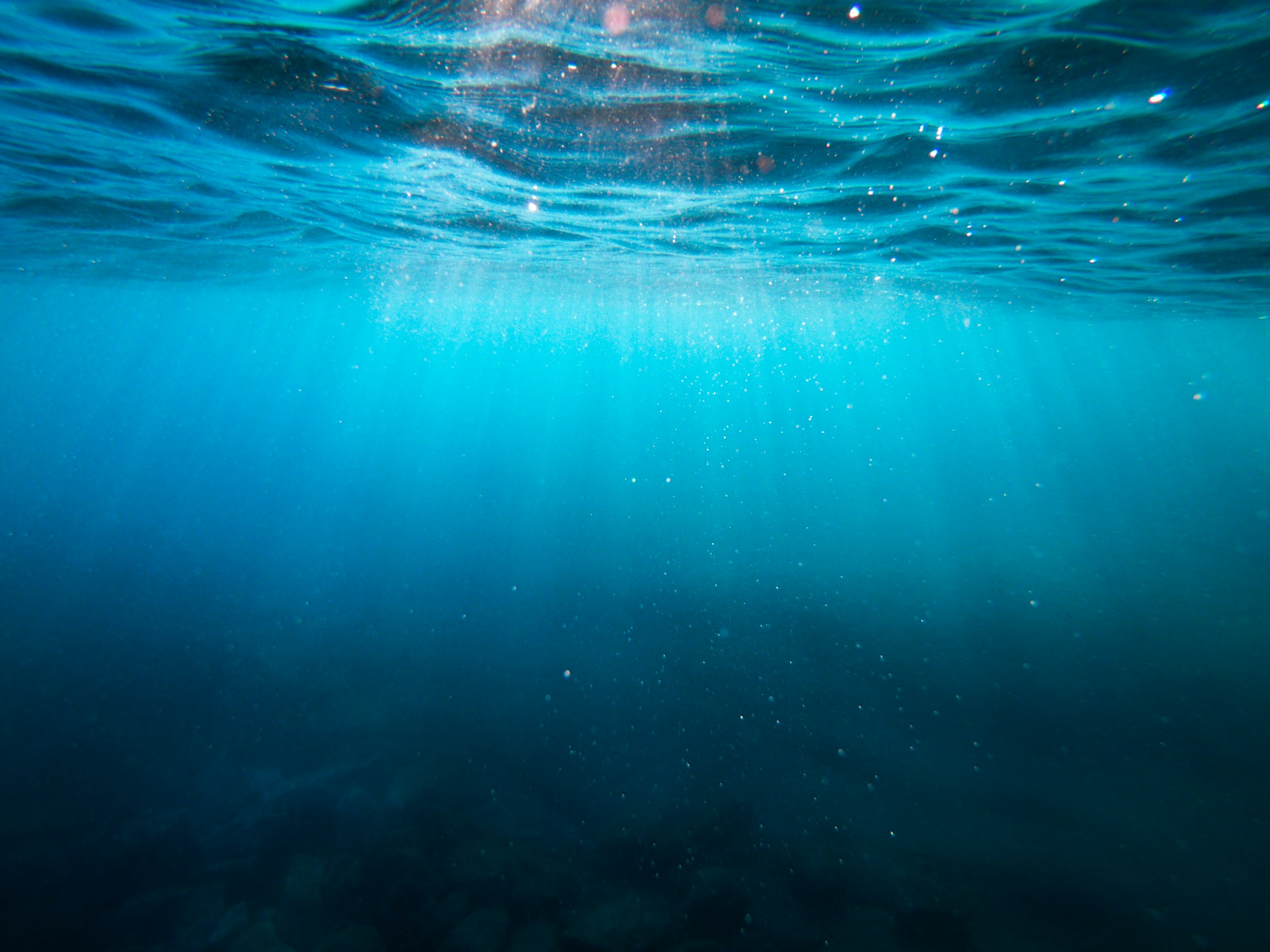 Deep blue ocean water seen from below, with sunlight reaching down from the surface
