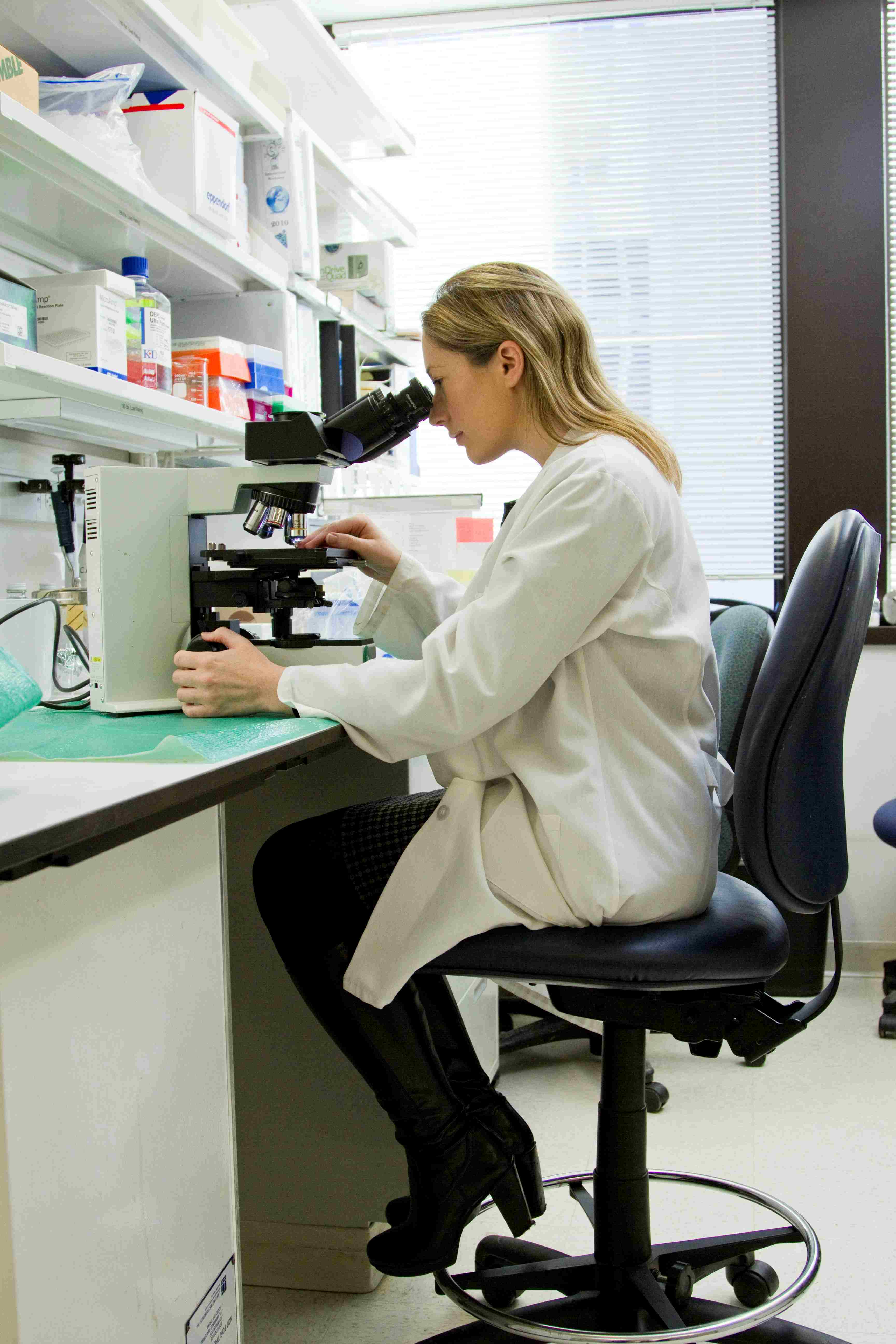 The pharmaceutical environment &ndash; where the Strides Pharma DGM cohort coaching was delivered